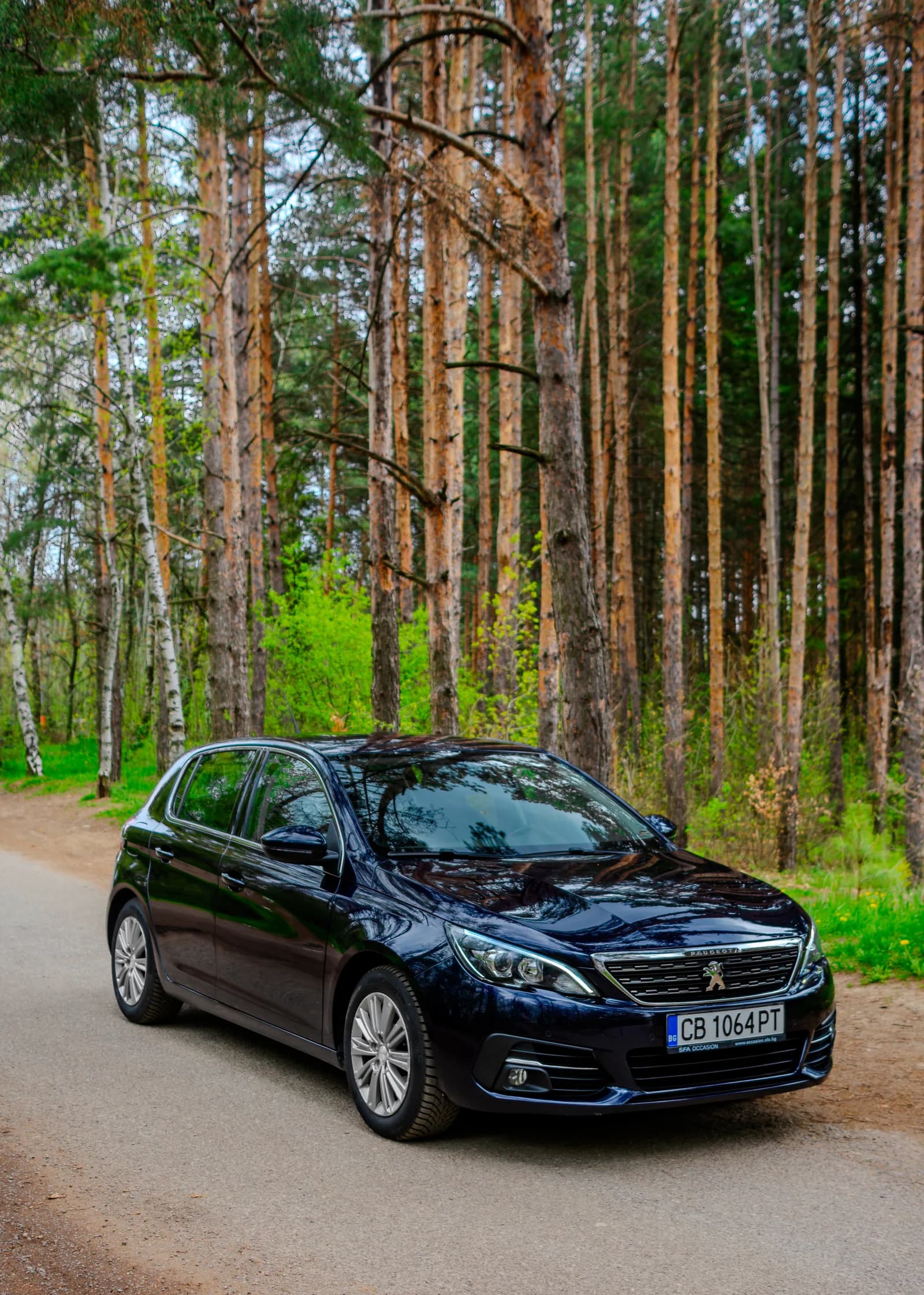 Тъмносин Peugeot 308 на път сред високи дървета